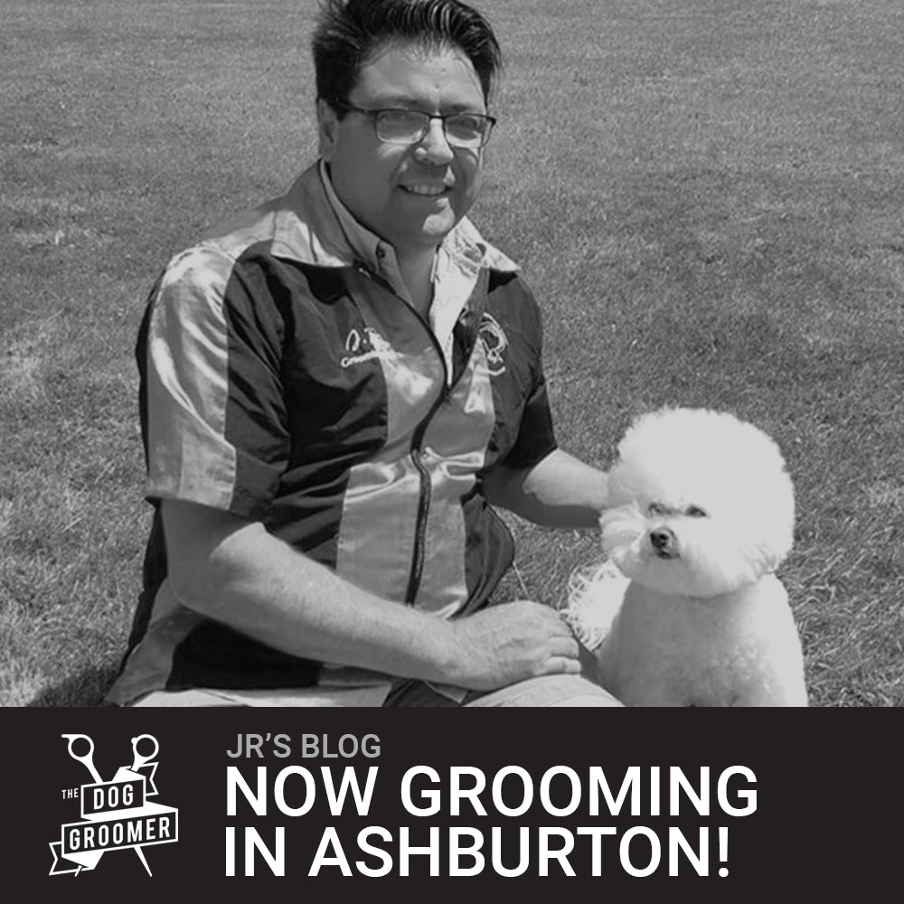 I'm excited to announce I will be grooming in Ashburton! The Dog Groomer