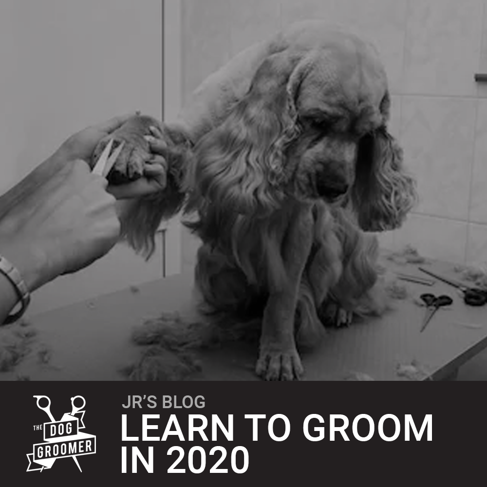 JR's Grooming Academy The Dog Groomer