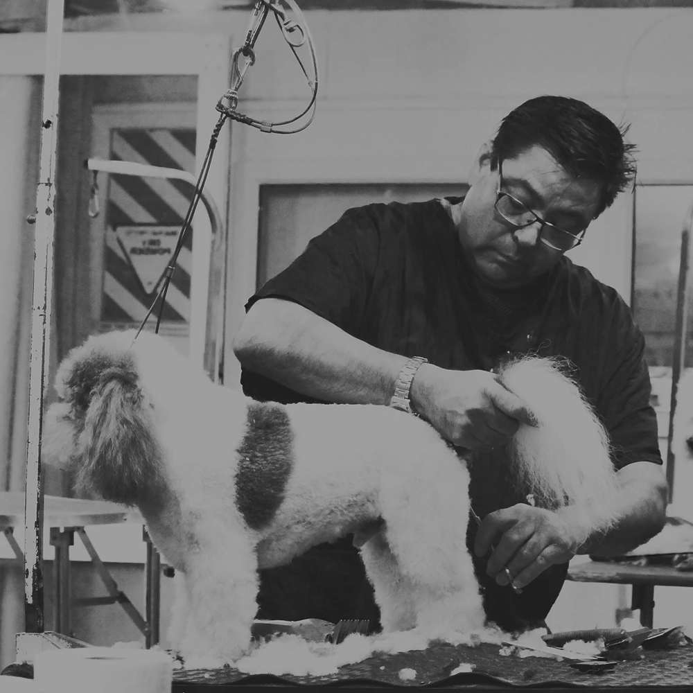The Dog Groomer Christchurch