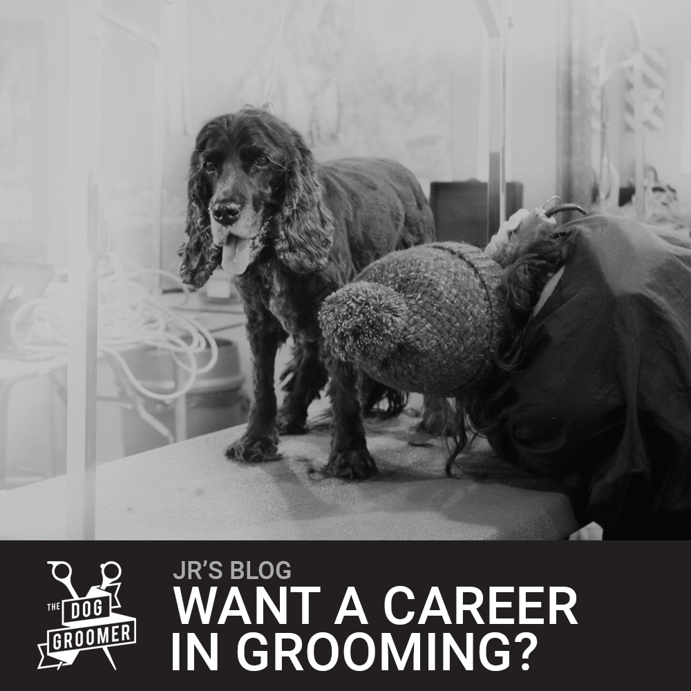 Want a career in Grooming?