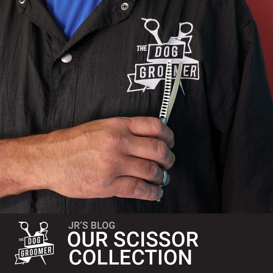 Our Scissor Collection