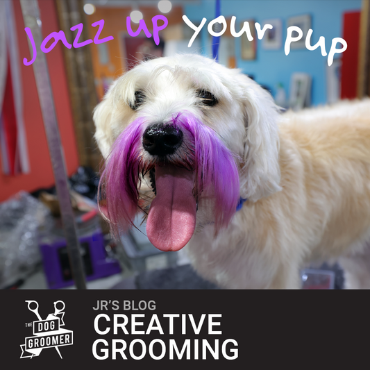 Wanting to give your pup a new look?