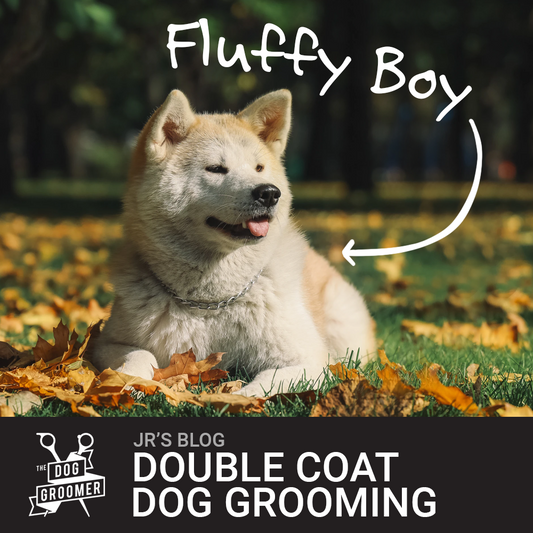 What is a Double Coat in Dogs?